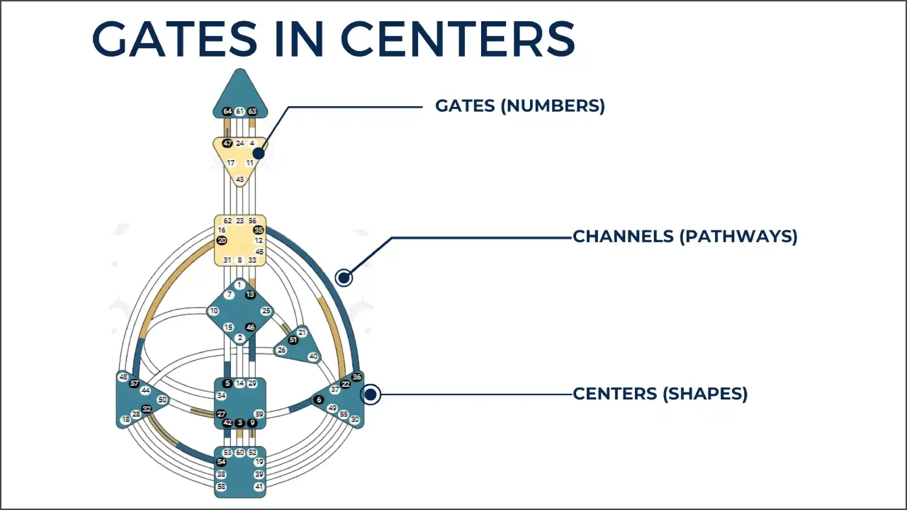 How Human Design Gates Influence Emotional Intelligence and Personal Energy