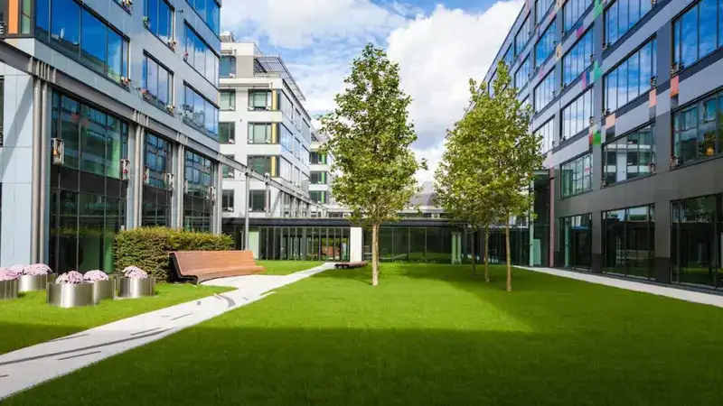 Why Do Businesses Prefer Low-Maintenance Green Areas Today?